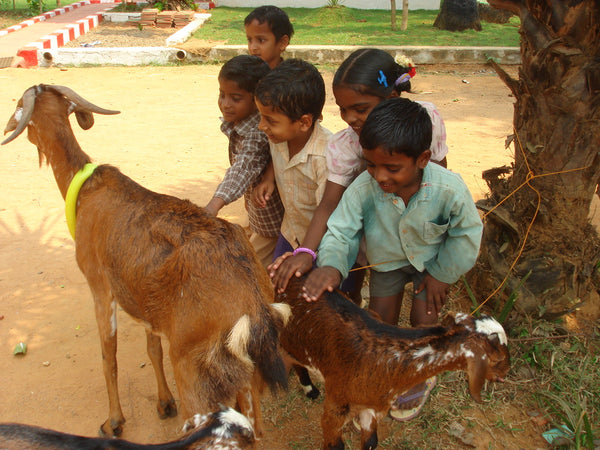 Community Goats